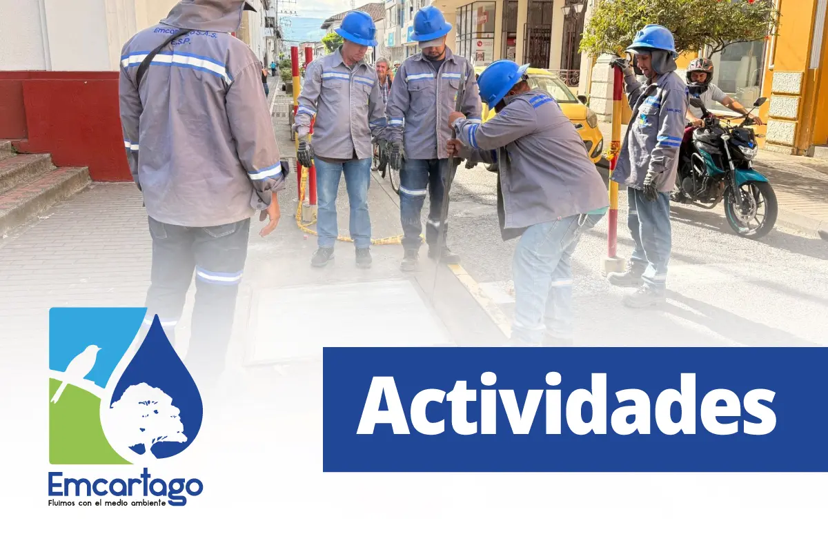 Actividades varias
