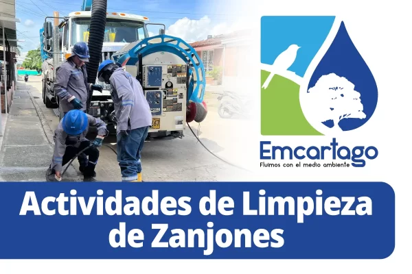limpieza de zajones